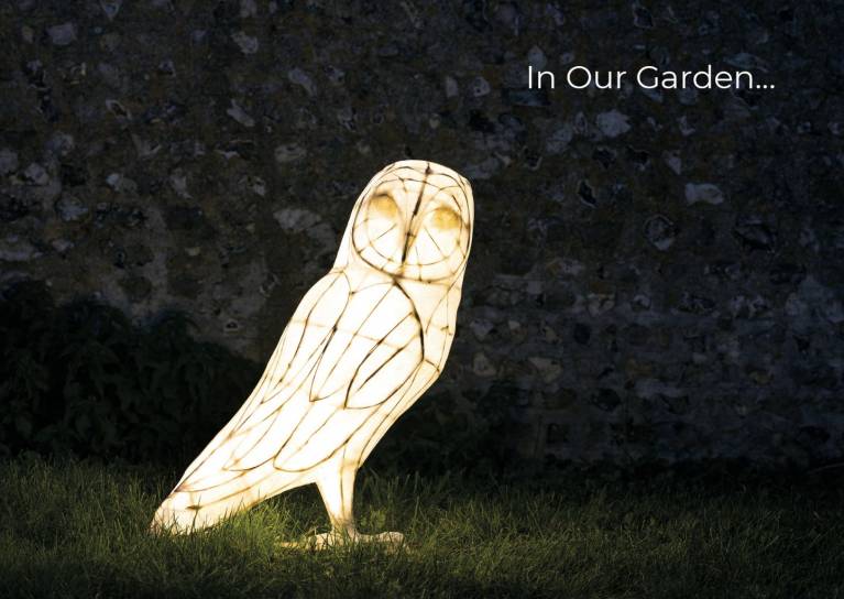Owl lantern