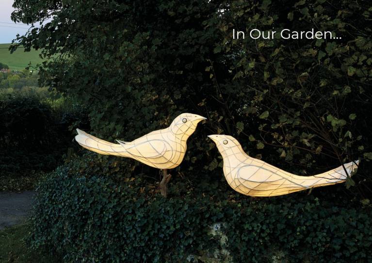 Love Birds lanterns
