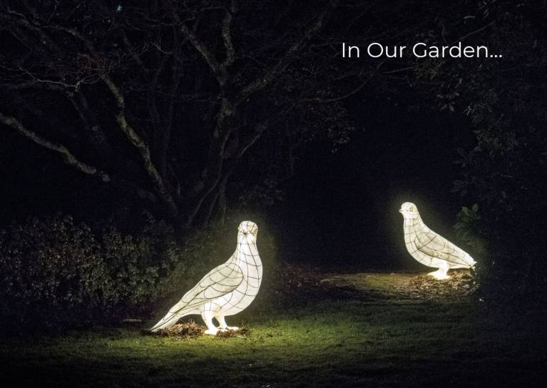 Pidgeon lanterns