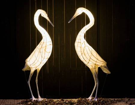 Egrets copy.jpeg